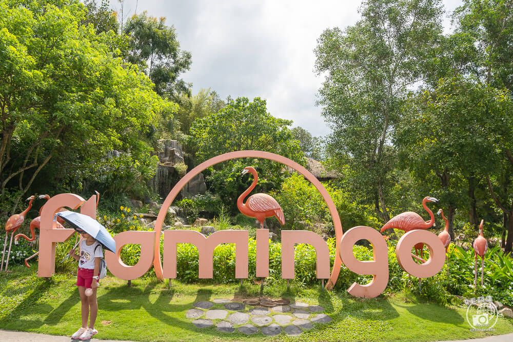 珍珠野生動物園,Vinpearl Safari Phu Quoc,富國島珍珠野生動物園,富國島景點,富國島北部景點,富國島動物園,富國島必去,富國島旅遊,富國島自由行