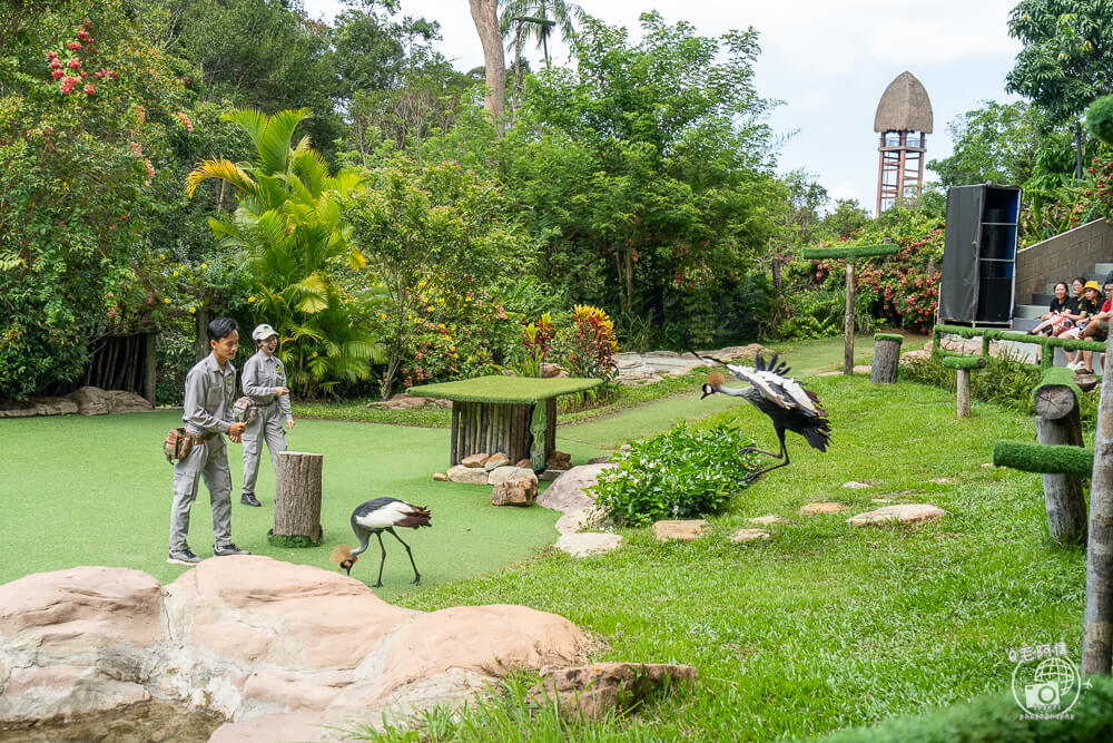 珍珠野生動物園,Vinpearl Safari Phu Quoc,富國島珍珠野生動物園,富國島景點,富國島北部景點,富國島動物園,富國島必去,富國島旅遊,富國島自由行