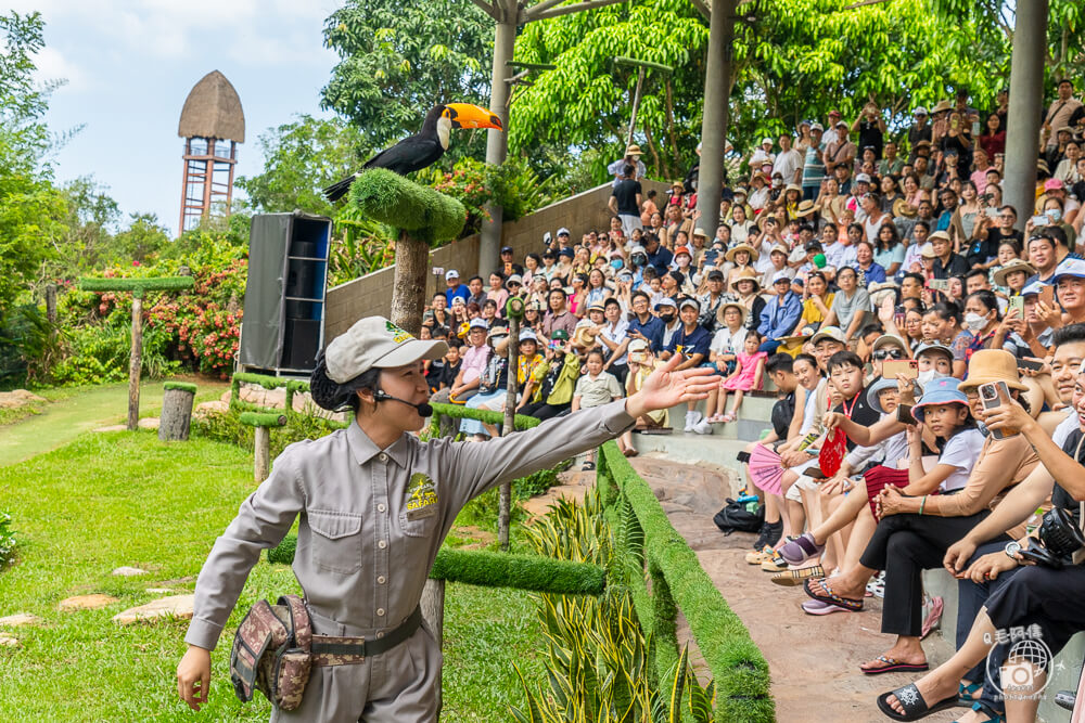 珍珠野生動物園,Vinpearl Safari Phu Quoc,富國島珍珠野生動物園,富國島景點,富國島北部景點,富國島動物園,富國島必去,富國島旅遊,富國島自由行