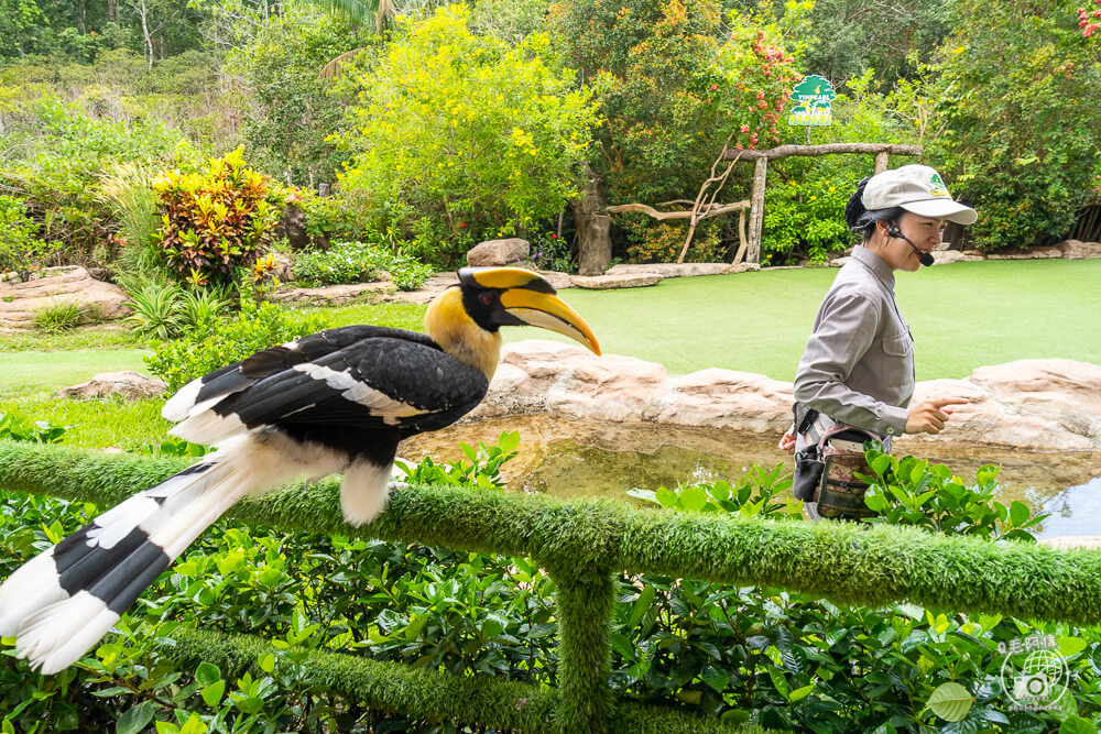 珍珠野生動物園,Vinpearl Safari Phu Quoc,富國島珍珠野生動物園,富國島景點,富國島北部景點,富國島動物園,富國島必去,富國島旅遊,富國島自由行