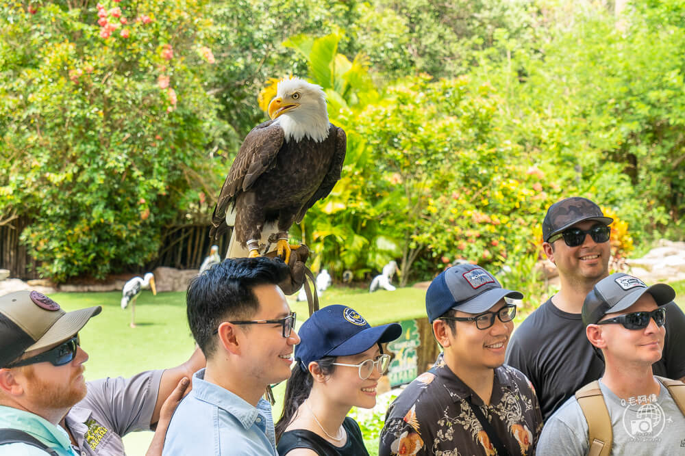 珍珠野生動物園,Vinpearl Safari Phu Quoc,富國島珍珠野生動物園,富國島景點,富國島北部景點,富國島動物園,富國島必去,富國島旅遊,富國島自由行