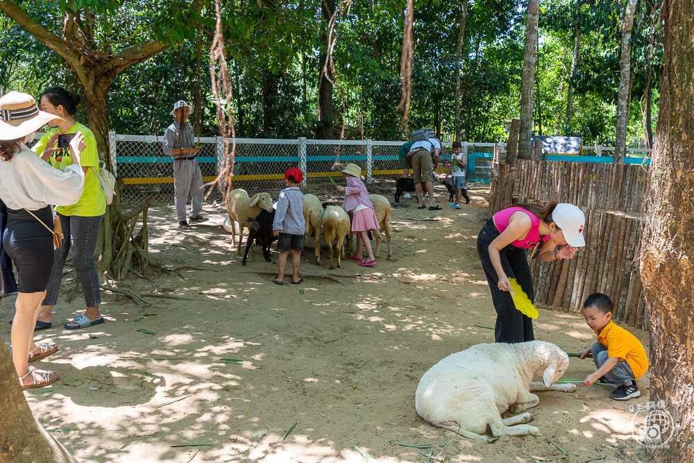 珍珠野生動物園,Vinpearl Safari Phu Quoc,富國島珍珠野生動物園,富國島景點,富國島北部景點,富國島動物園,富國島必去,富國島旅遊,富國島自由行