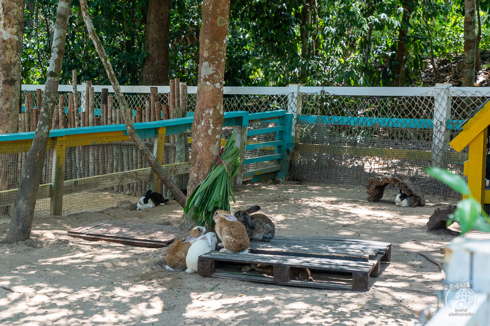 珍珠野生動物園,Vinpearl Safari Phu Quoc,富國島珍珠野生動物園,富國島景點,富國島北部景點,富國島動物園,富國島必去,富國島旅遊,富國島自由行