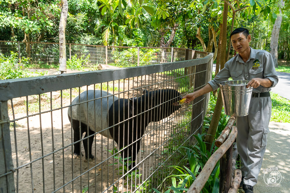 珍珠野生動物園,Vinpearl Safari Phu Quoc,富國島珍珠野生動物園,富國島景點,富國島北部景點,富國島動物園,富國島必去,富國島旅遊,富國島自由行