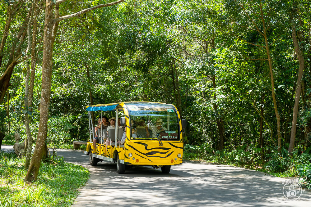 珍珠野生動物園,Vinpearl Safari Phu Quoc,富國島珍珠野生動物園,富國島景點,富國島北部景點,富國島動物園,富國島必去,富國島旅遊,富國島自由行