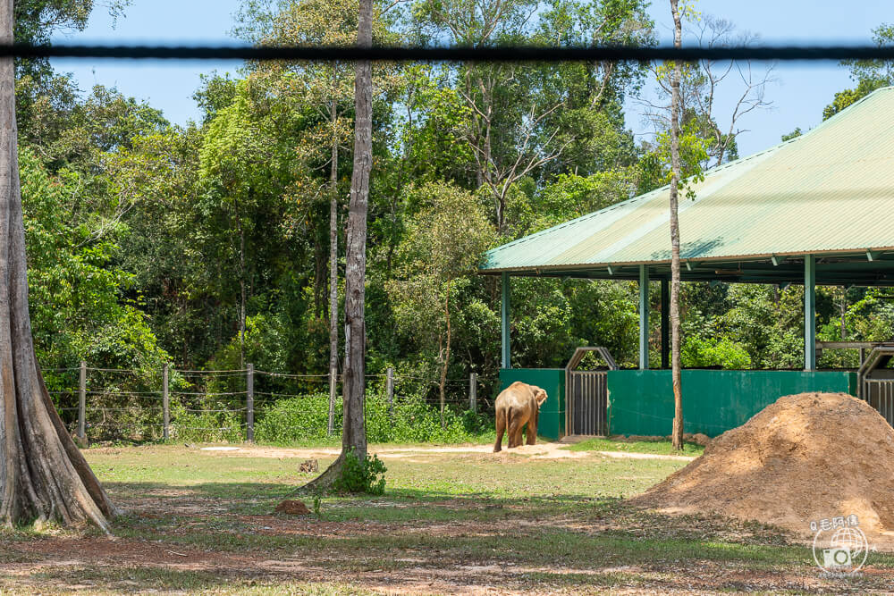 珍珠野生動物園,Vinpearl Safari Phu Quoc,富國島珍珠野生動物園,富國島景點,富國島北部景點,富國島動物園,富國島必去,富國島旅遊,富國島自由行