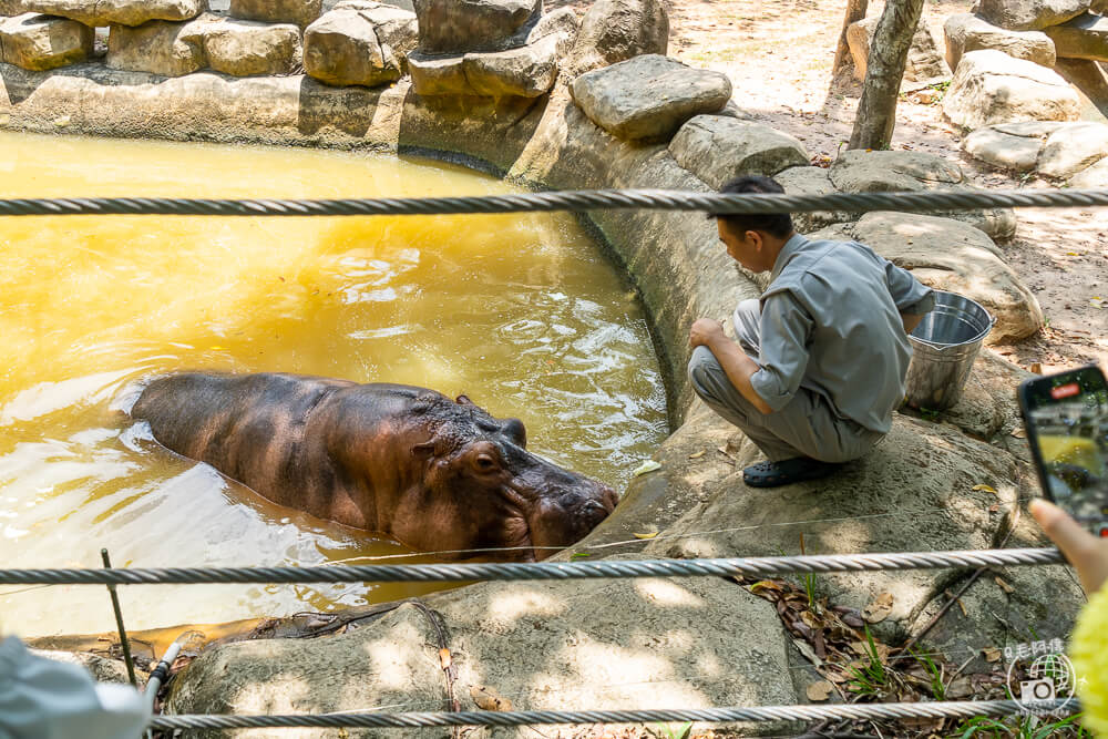 珍珠野生動物園,Vinpearl Safari Phu Quoc,富國島珍珠野生動物園,富國島景點,富國島北部景點,富國島動物園,富國島必去,富國島旅遊,富國島自由行