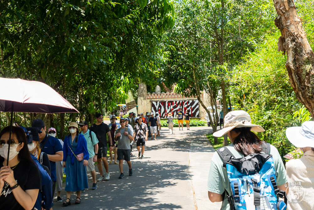 珍珠野生動物園,Vinpearl Safari Phu Quoc,富國島珍珠野生動物園,富國島景點,富國島北部景點,富國島動物園,富國島必去,富國島旅遊,富國島自由行