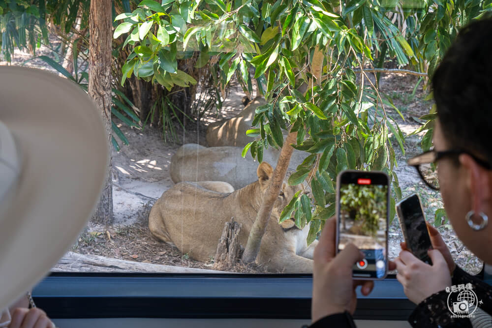 珍珠野生動物園,Vinpearl Safari Phu Quoc,富國島珍珠野生動物園,富國島景點,富國島北部景點,富國島動物園,富國島必去,富國島旅遊,富國島自由行